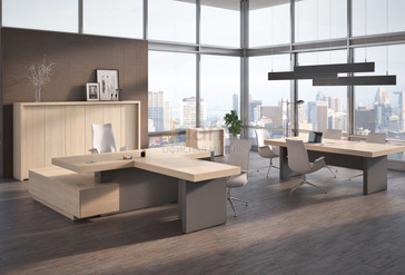 Кабинет руководителя Era