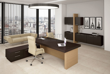 Кабинет руководителя Спикер