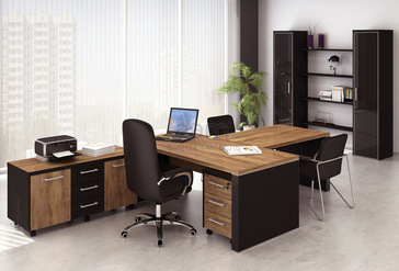 Кабинет руководителя Парламент