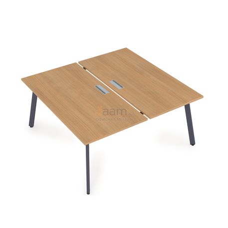 Мебель для персонала Стол системы БЕНЧ на 2 рабочих места порошковое покрытие 10БД.284